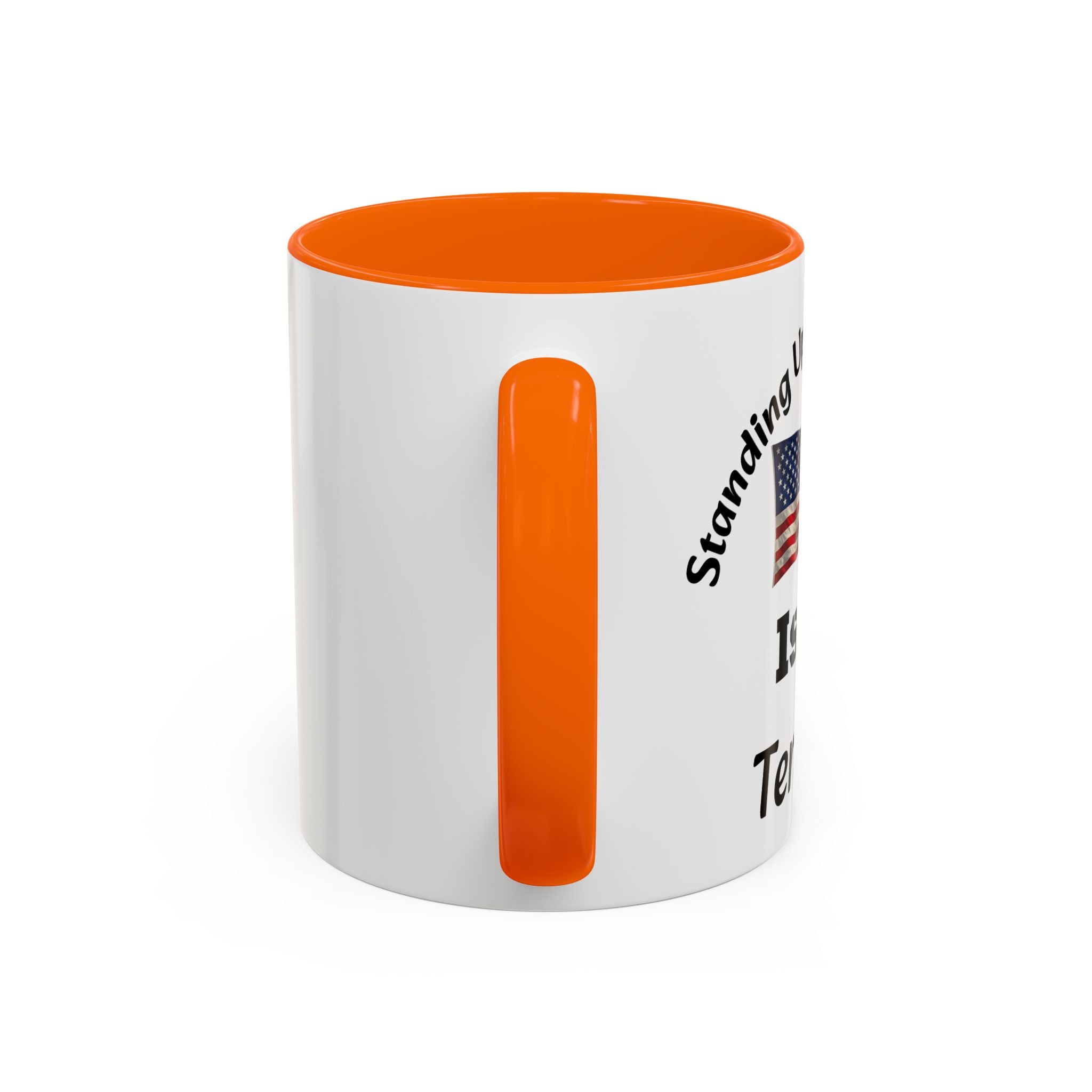 Standing Up For Your Rights Is Not Terrorism Mug | American Flag Coffee Mug | Constitutional Rights Cup
